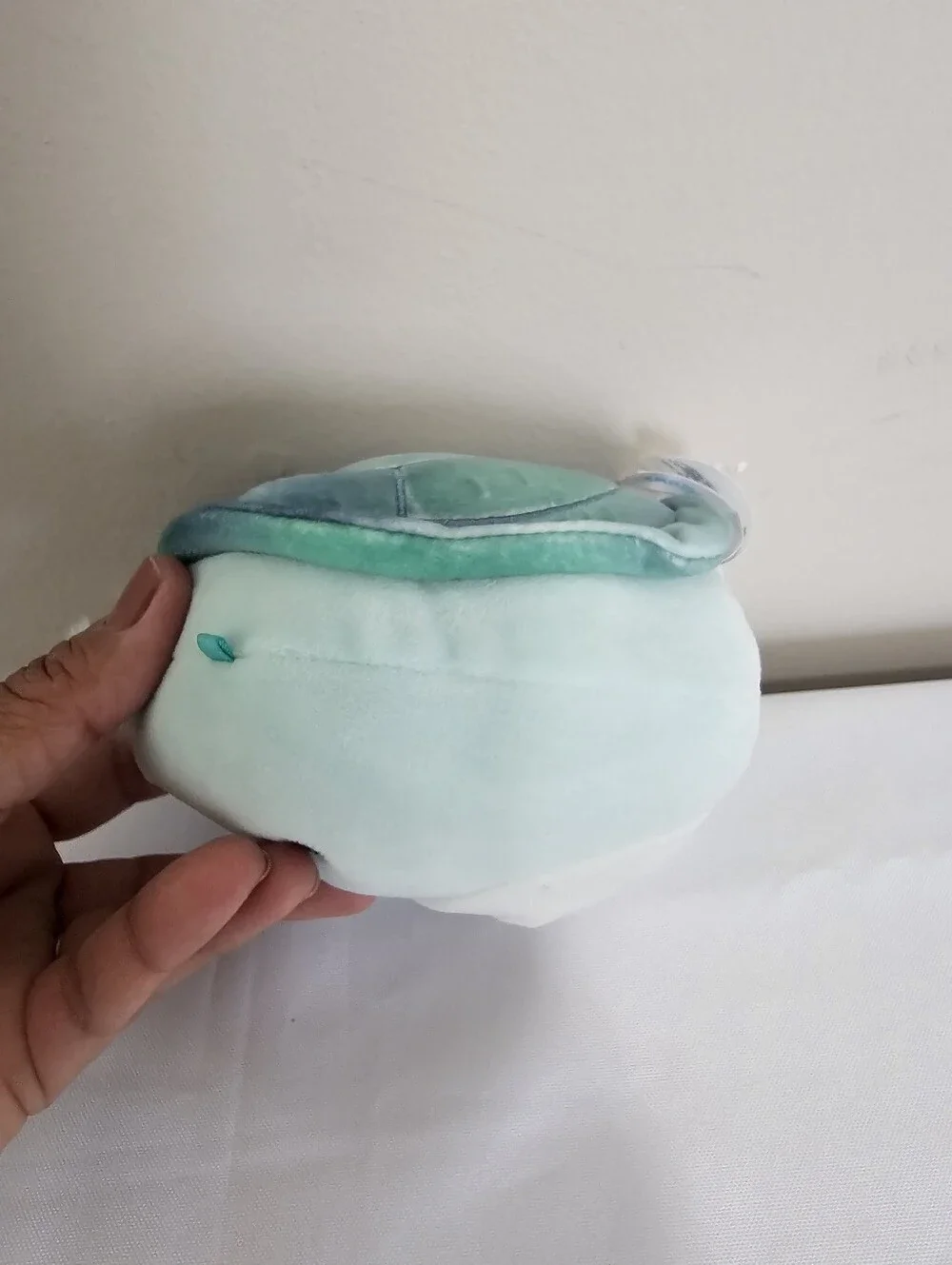 squishmellow 8 inch turtle Onica
